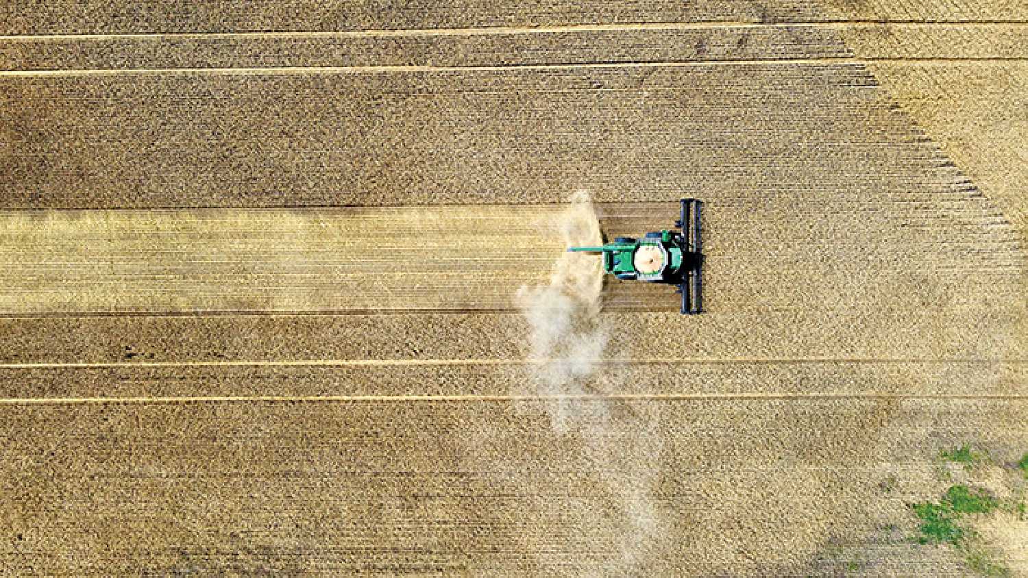 A farmer south of Fairlight cuts through a field as Harvest 2023 continues. Many farmers say the crop is coming in better than expected after a challenging year. A Kevin Weedmark photo.